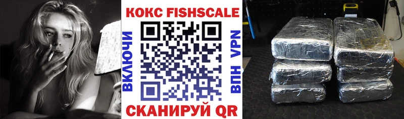 Кокаин FishScale купить наркотики цена Соль-Илецк