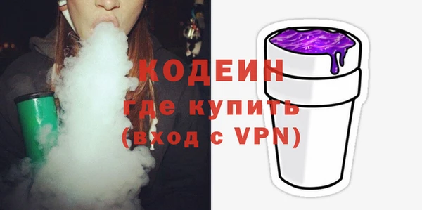 индика Кодинск