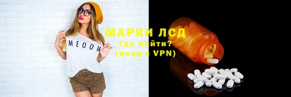 скорость Каменка
