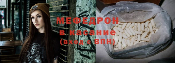 индика Козловка