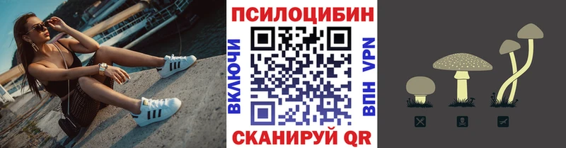 Галлюциногенные грибы GOLDEN TEACHER  Соль-Илецк 