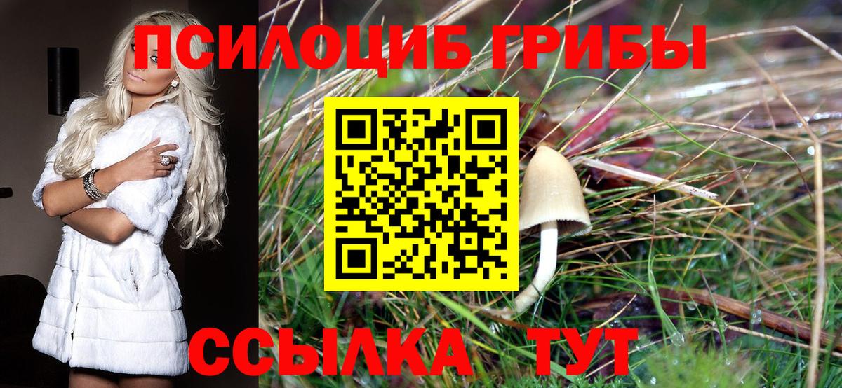 Псилоцибиновые грибы ЛСД Соль-Илецк
